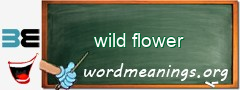 WordMeaning blackboard for wild flower
